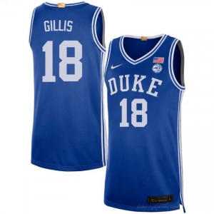 Mason Gillis Royal #18 Duke Blue Devils Men High School Basketball Jersey | Durably Stitched 4584AU0e