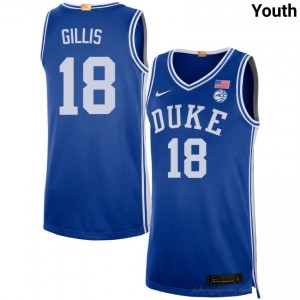 Mason Gillis Royal #18 Blue Devils Youth NCAA Basketball Jersey | Durably Stitched 790p4WK3